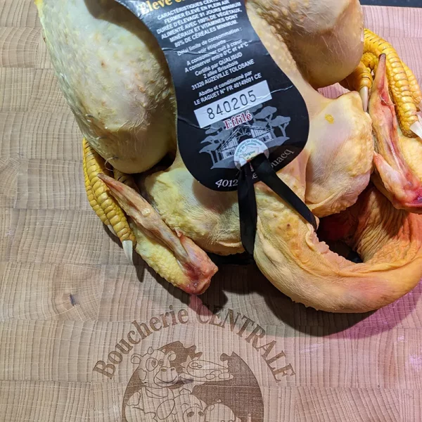Poulet fermier jaune effilé